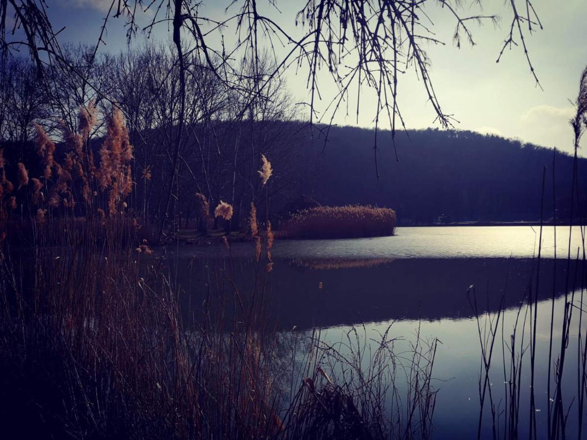 Varga Villa Orfű 외부 사진