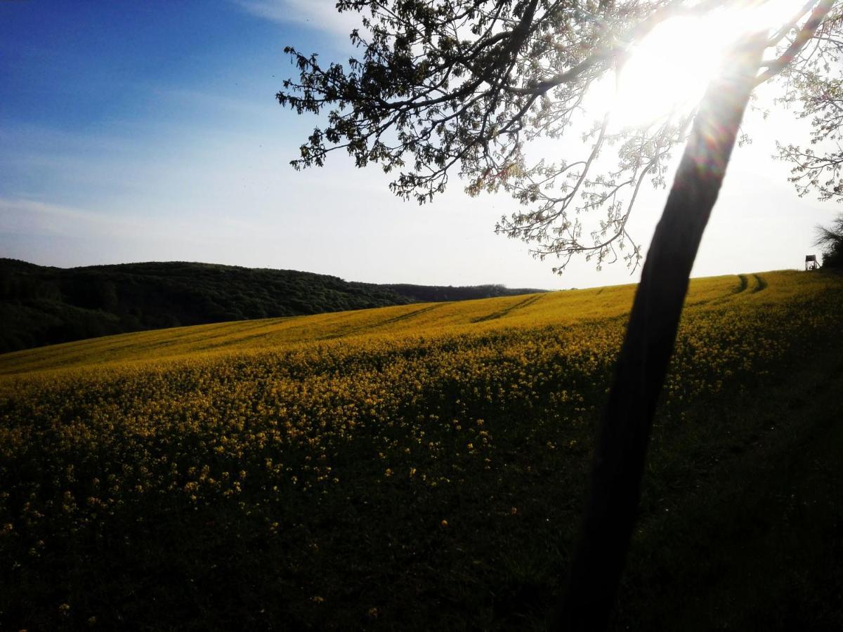 Varga Villa Orfű 외부 사진