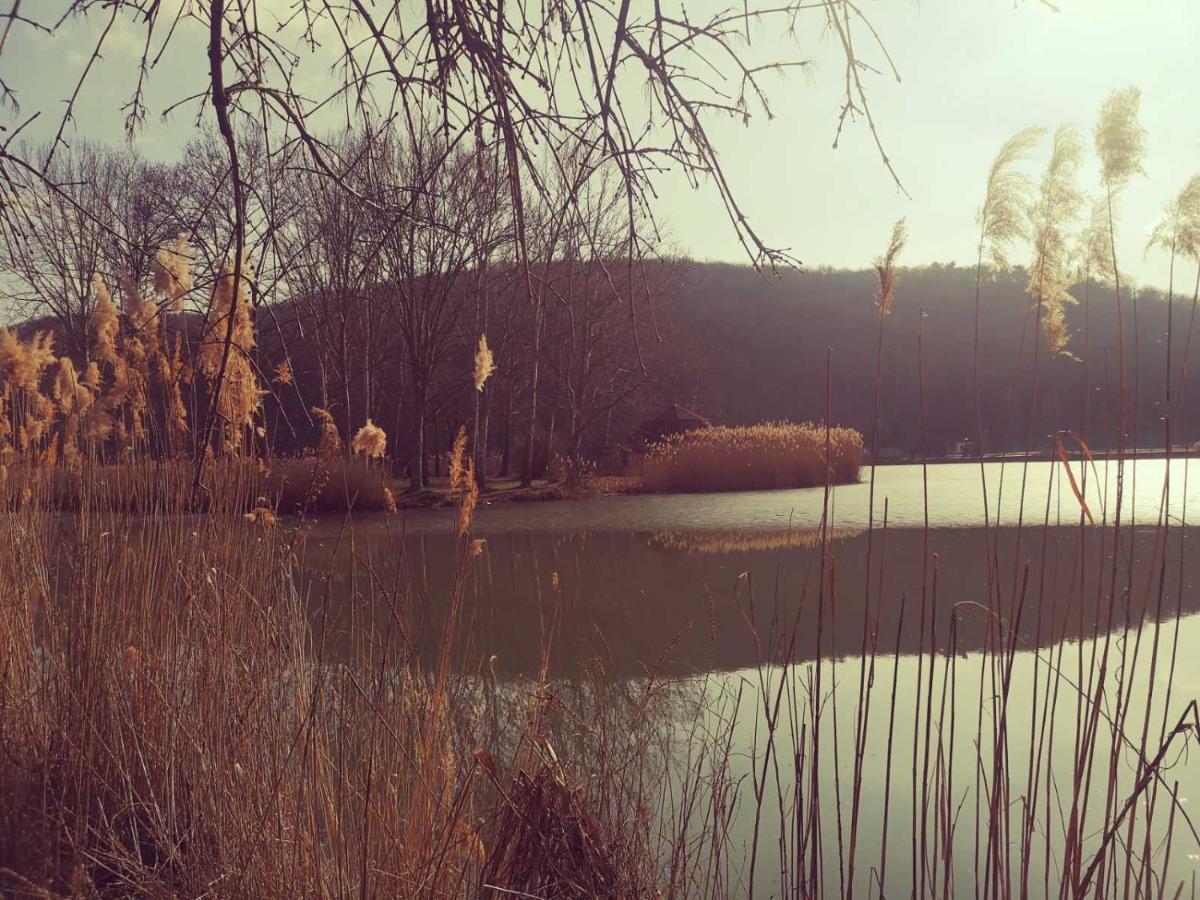 Varga Villa Orfű 외부 사진
